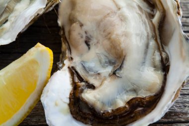 Masada taze istiridye var. deniz ürünleri