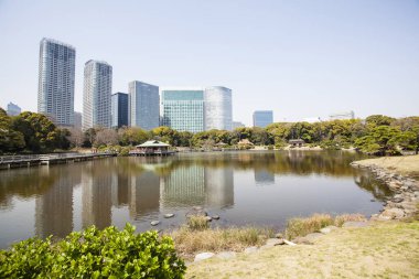 Modern şehir manzarası arka plan görüntüsü, şehir konsepti 