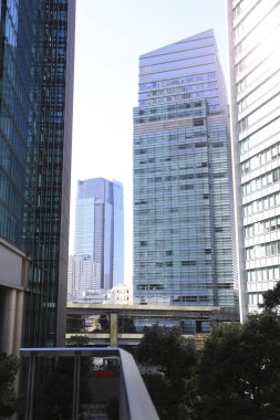 Tokyo, Japonya 'da binaları olan modern şehir manzarası