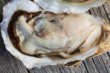 Masada taze istiridye var. deniz ürünleri