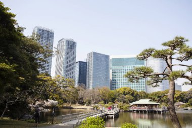 Modern şehir manzarası arka plan görüntüsü, şehir konsepti 