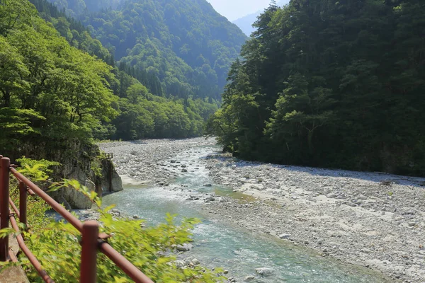 Dağ vadisinde güneşi yansıtan hızlı nehir.