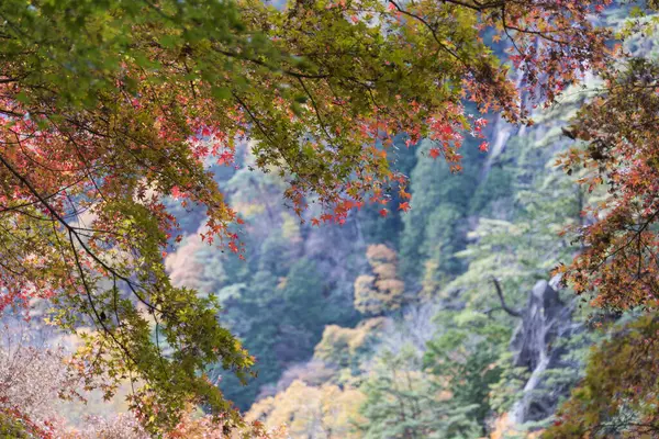 Красивый Водопад Лесу Японии — стоковое фото