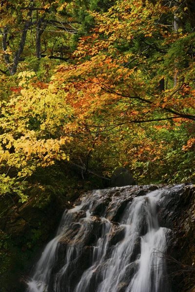 Красивый Водопад Лесу Японии — стоковое фото