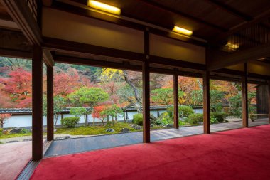 Japonya 'nın Kyoto kentindeki güzel bir Japon bahçesinin sonbahar manzarası renkli akçaağaç yaprakları ve barışçıl Zen ambiyansı ile ünlü Budist tapınağı Enkouji' nin sürgülü kapılarının ardından görülüyor.