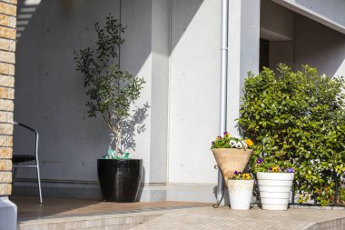 Evin girişi saksı bitkileriyle süslenmiş. 