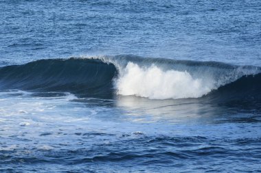 büyük bir dalga deniz