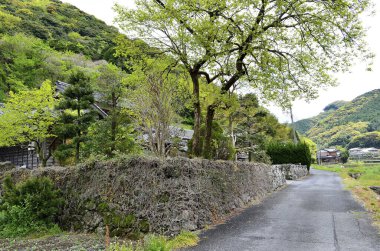 Dağ yolu ve yeşil ağaçları olan güzel bir manzara