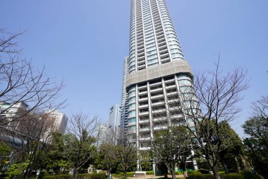 bahar ağaçları ve modern şehir mimarisi, Tokyo, Japonya. Gökdelenler mavi gökyüzüne karşı güneşli bir günde 