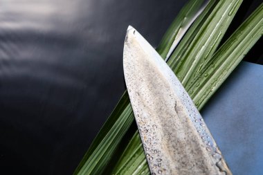 Mutfak bıçağı ve bileyicinin yakın görüntüsü