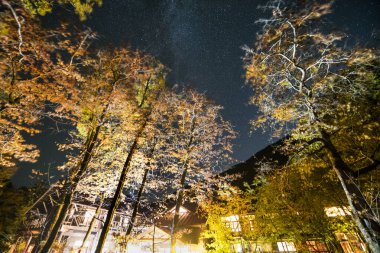 Ağaçlar ve ormanlarla dolu güzel sonbahar manzarası