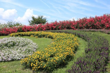 Parktaki güzel bahçe.
