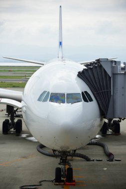 Japon Havaalanı 'ndaki Modern Yolcu Uçağı Gündüz Görüntüsü