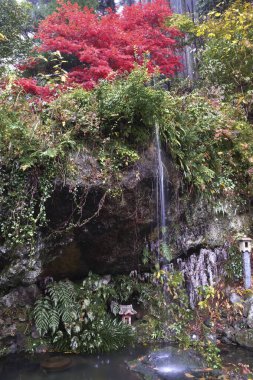 Japonya sonbahar parkında güzel bir şelale.