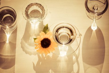 Ayçiçeği uzun gölgelerin arasında