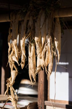 Kurumuş mısır kabukları kırsal ahşap yapının dışında asılı duruyor.