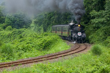 Ormandaki güzel tren 