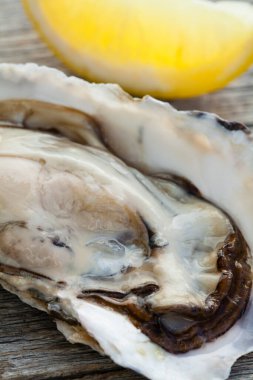 Tahtada buzlu ve limonlu istiridye.