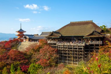 Kyoto Japonya 'da güzel sonbahar yaprakları
