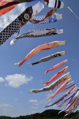 Japon koinobori ya da sazan balıklarının açık hava görüntüsü.                