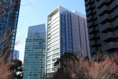 Tokyo, Japonya 'da binaları olan modern şehir manzarası