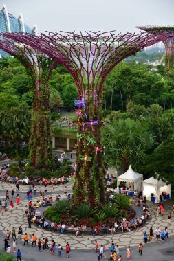 Singapur Botanik Bahçesi 