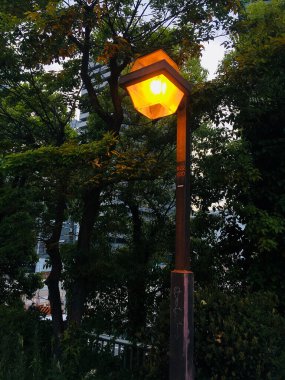 Parktaki sokak lambası, akşam vakti.