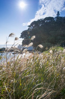Güzel deniz manzarası