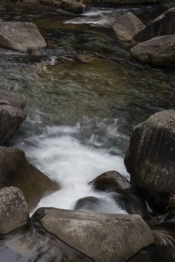 Dağlardaki ormanda güzel bir şelale