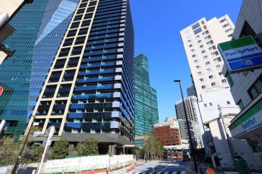 Tokyo, Japonya 'da binaları olan modern şehir manzarası