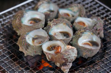 Metal ızgarada taze kabuklu deniz hayvanı kızartıyorum.