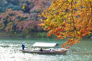 Nehirde parlak ağaçlar ve kayıkla sonbahar manzarası 