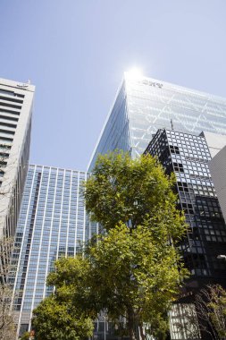 Şehirdeki modern binalar ve yeşil bahar ağaçları