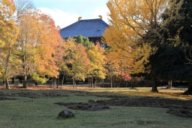Renkli ağaçlar ve evlerle sonbahar manzarası 