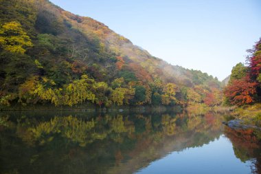 Renkli ağaçları ve nehri olan güzel sonbahar manzarası