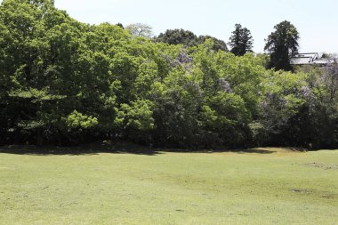 Güzel bir park manzarası.