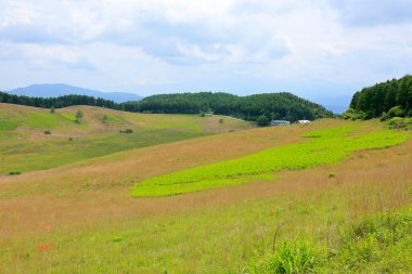 Arkasında bir dağ olan güzel bir manzara.