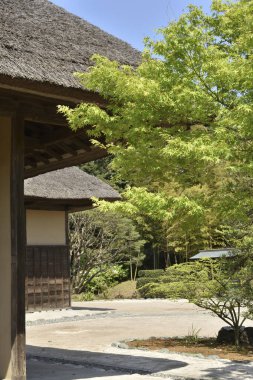 Japonya 'daki eski evin yakınlarındaki geleneksel bahçe manzarası