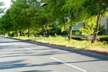 Şehirdeki asfalt yolda.