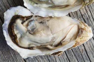 Masada taze istiridye var. deniz ürünleri