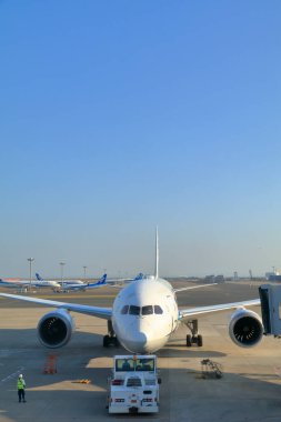 Havaalanı terminalinde uçaklar 