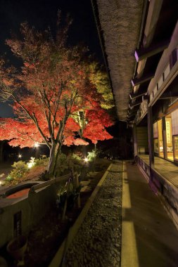 Akçaağaç ağaçları ve eski binalarla güzel bir sonbahar manzarası