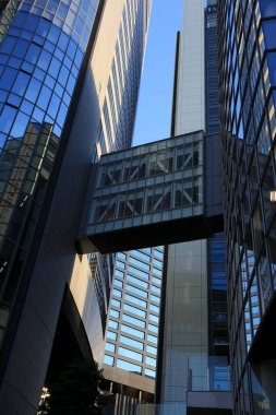 Yüksek binalar ve mavi gökyüzü - Tokyo, Japonya