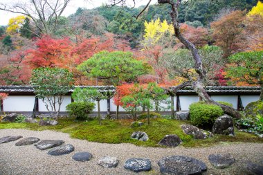 Japon bahçesinde renkli bitkiler ve ağaçlar 