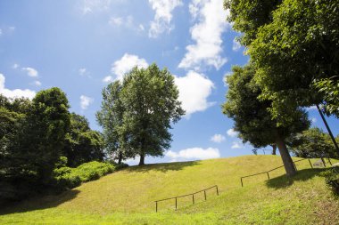 Parktaki ağaçlar ve mavi gökyüzü, doğa arka planı.