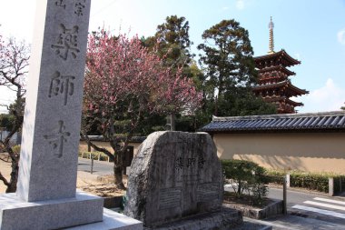 Antik Asya 'nın ruhunu yakalayan güzel, geleneksel bir tapınak. Sayısız dindarın tapınağı ve yansıması olarak hizmet veriyor..