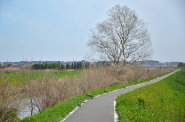 İlkbaharda nehir kıyısında yol ve ağaçlar..