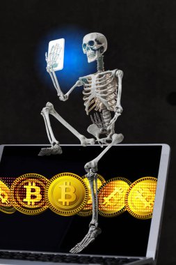 Bitcoin ve iskelet modeli, finans arka planı kavramı 