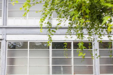 Gunma, Japonya 'daki eski Tomioka İpek Değirmeni' nin büyük pencereleri. UNESCO Dünya Mirası