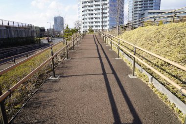 Çimenli setler ve yüksek binalar arasında uzanan güneşli şehir yolu